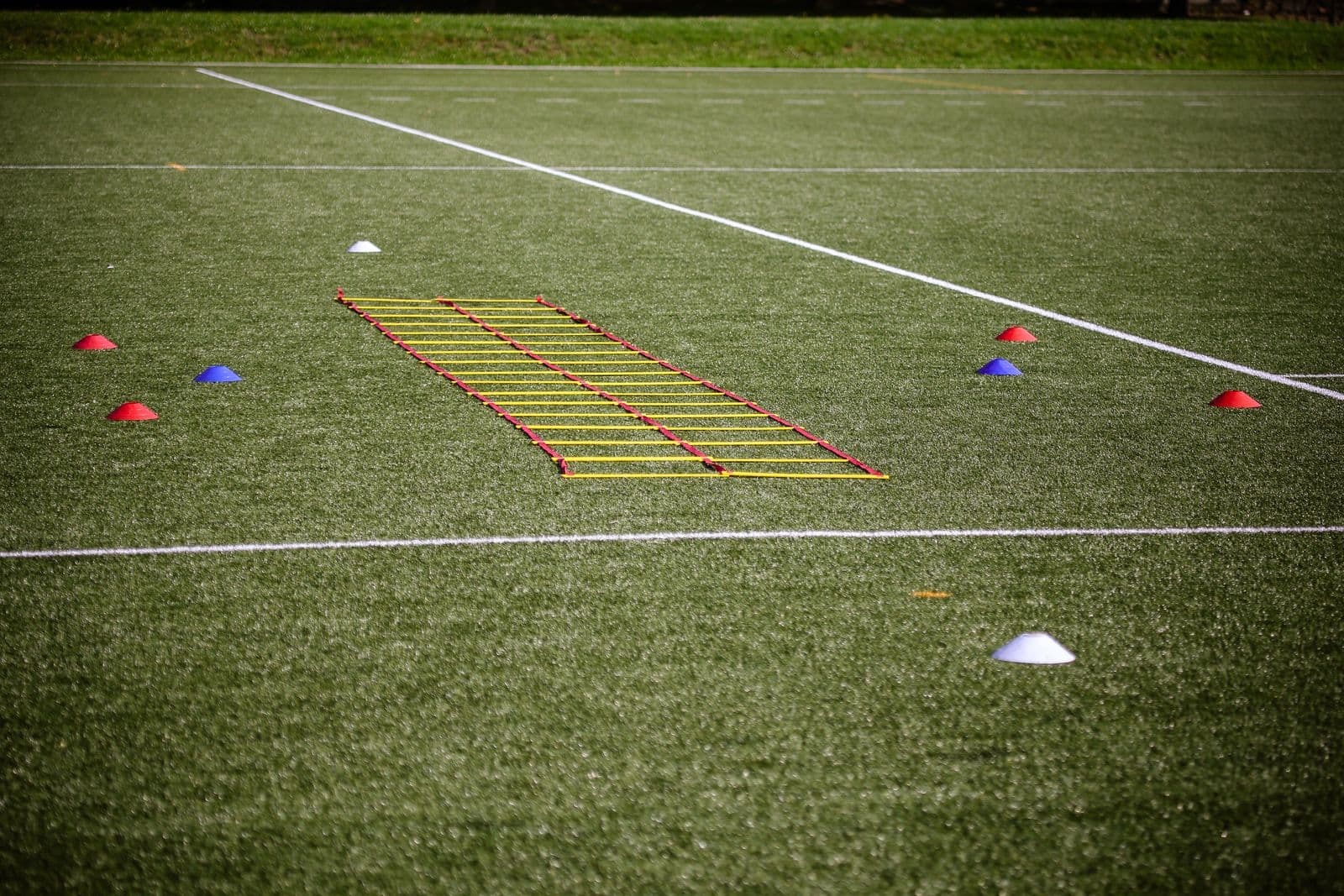 Training cones and an agility ladder laid out on a grassroots training pitch.